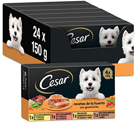 Cesar Multipack Tarifs Alimentaires humides pour Chiens Sélection et gélatine, gélatine Recettes de la Huerta (Pack de 6 x 4 Tarrinas x 150g)