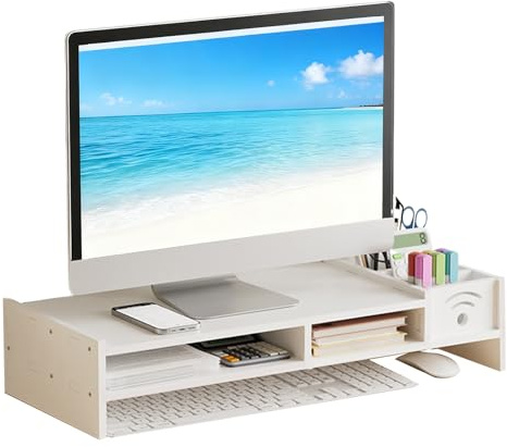 Computer Monitor Stand, 2-Tier Ergonomic Holder, Desk Riser Featuring 4.3 Inch Height, Storage Organizer with Adjustable Shelves, Monitor for Home Laptop PC TV Work Table Dorm