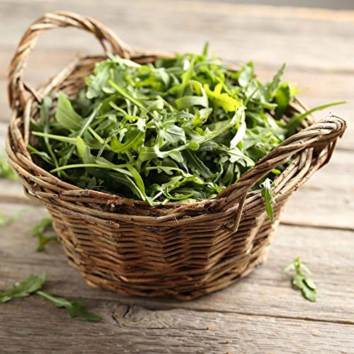 rucolasamen - wildkräuter balkongewächshäuser kräuterbeet die küche hochbeete für garten gartenkräuter hochbeet balkongarten heilkräuter gemüsesamen alte gemüsesorten kletterpflanzen 200pcs