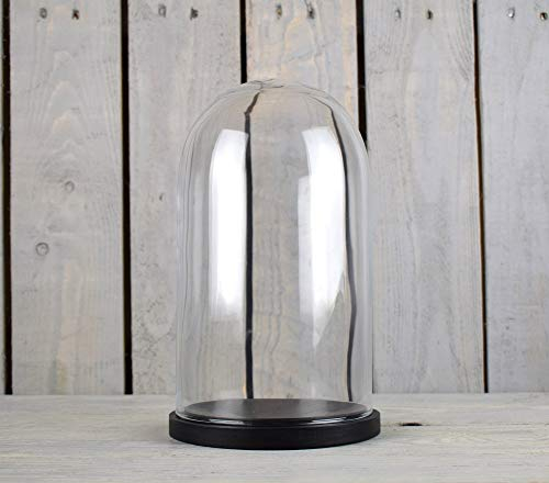EMH Cubierta pequeña de cristal para exhibición de cúpula de cristal, base negra, altura de 27,5 cm