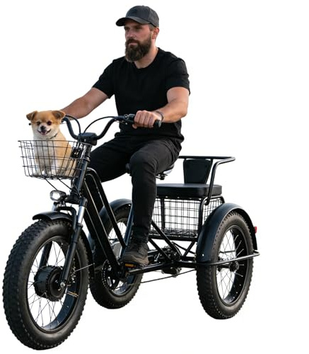 Dfdieratve Bicicleta Eléctrica Tres Ruedas para Adultos - 500W, Batería 48V Extraíble, 30km Autonomía, 2 Modos, para Ciudad, Viajes y Recados Diarios