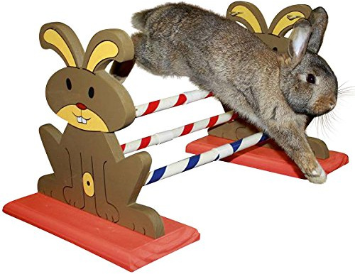 Kerbl Agility Rodent Obstacles, 62 x 33 x 34 cm