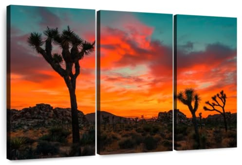 ElephantStock - Sunset Yucca Palms Wall Art - Horizontal Multi Panel Canvas - 3 Piece Living Room Wall Decor - Photography Places Multi Piece Wall Art - Brown And Orange Decor - 45 x 28