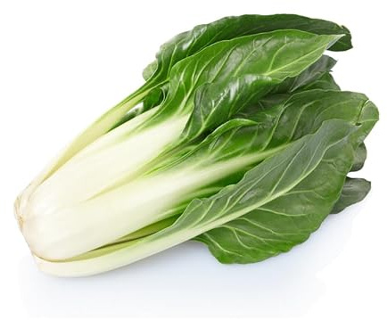 Semi BIETOLA VERDE A COSTA LARGA ARGENTATA In Busta Ermetica MADE IN ITALY Qualità superiore con 95% di germogliazione, con istruzioni