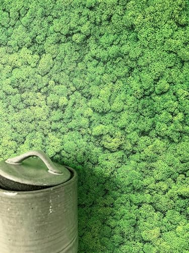 NEWROOM Tapet Grön Vliestapet Mossoptik - Blommig 3D Relief Naturtapet för Vardagsrum Sovrum