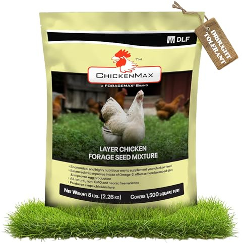 DLF Chicken Max – Forage Seed Mixture for Chickens, Poultry, and Farms – Layer Mix with Clover, Ryegrass, Buckwheat, and Flax – High-Protein Feed for Laying Hens, Chicks, and Coops – 5LB Bag
