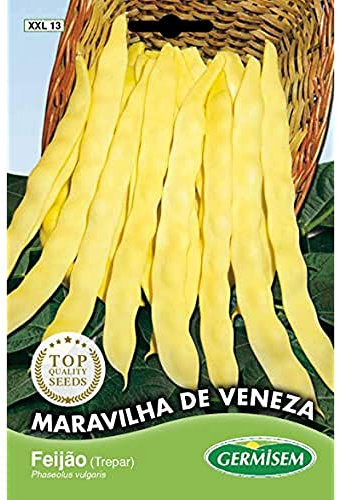 Germisem Graines de Haricot à Rames Maravilha de Veneza
