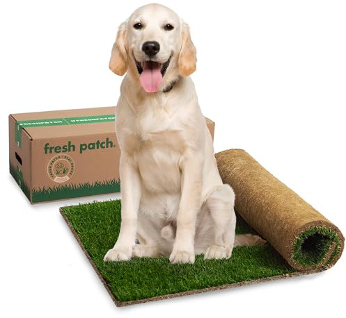 Fresh Patch Real Grass Patch for Dogs, Cats, and Extra Large Pets 30 Pounds and Above – Disposable Pet Grass Pee Pads – Indoor and Outdoor Potty Training Mat (24 Inches x 48 Inches)