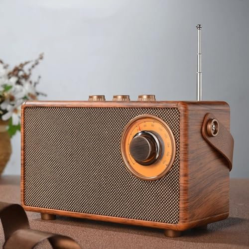 RANRAO Retro FM-radio, stationär högtalare Bluetooth-kompatibel 5.1 kreativ bärbar högtalare hög fi med TF-kort