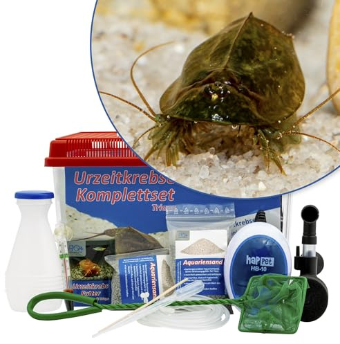 AQ4Aquaristik Triops cancriformis simplex Komplettset mit Urzeitkrebseiern: 6 l Aquarium, Zuchtansatz, Filter, Luftpumpe, Zubehör, Futter und Anleitung,