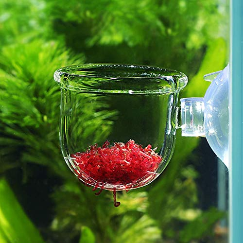 Futterbehälter Aquarium Futterbecher, Aquarium Feeder, Aquarium Angeln auf kleine Tropische Fische Houeshold für Wasserwürmer(Glass Gap Cup)