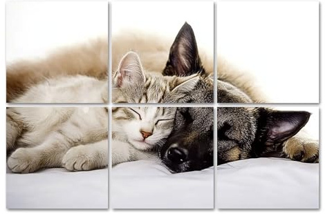 Art Acoustic Panels dog cat lie together domestic cats pictures Acoustical Soundproof Wall Panel with Self-Adhesive Decorative Sound Absorbing Panel Acoustic Treatment