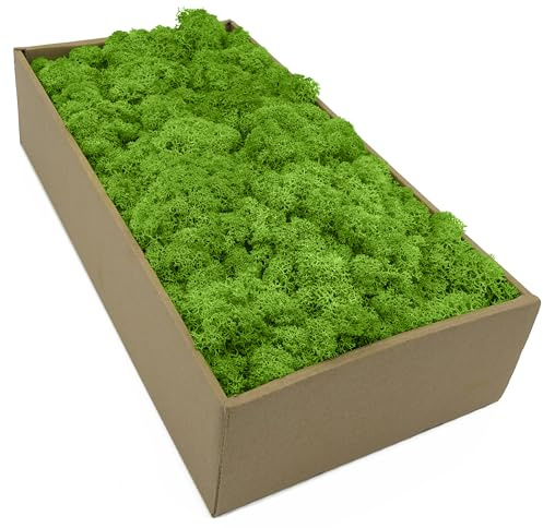 Islandmossa – mossa i 5 olika Färger 250 g/500 gr/1 kg äkta konserverad naturmossa för mossbild pyssla dekoration och modellbygge (gräsgrön ljus, 100 gr)