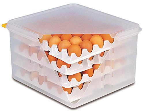 APS 10 couches à la boîte à œufs, stockage pour les œufs, chaque couche á 30 œufs, 28,5 x 28,5 cm, 6,5 cm de hauteur
