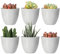 Youngever 10er Pack 8 cm Mini Pflanzgefäße aus Kunststoff, Blumentöpfe für den Innenbereich, Grauer Gartentopf mit Drainage – NO Pflanze im Lieferumfang enthalten (Modern)