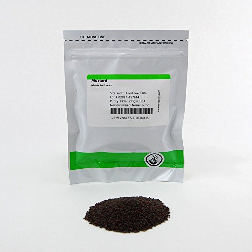 Mizuna Mustard Seeds: 4 Oz - Non-GMO Japanese Mustard Microgreens Seeds - Micro Herb Greens
