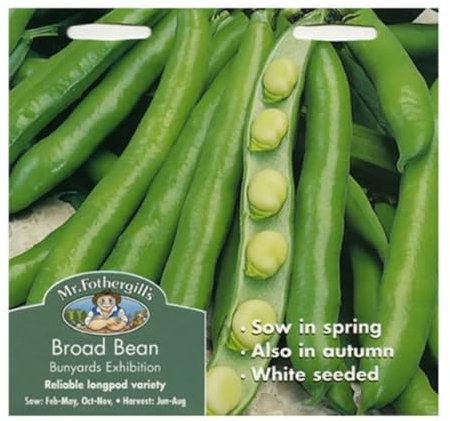 Mr Fothergills Mr Fothergill's 21946 Vegetable Seeds, Broad Bean Bunyards Exhibition,White,100 cm