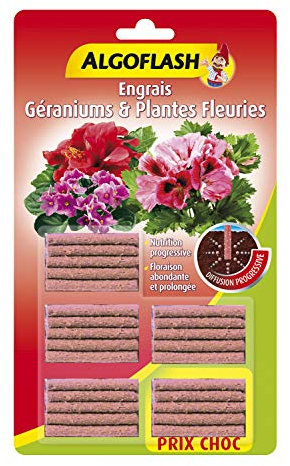 ALGOFLASH Engrais Géraniums et Plantes Fleuries, Longue Durée, 25 Bâtonnets, ABAFLEU20P
