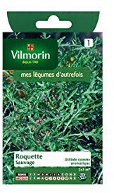 Vilmorin - Sachet graines Roquette sauvage