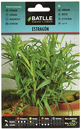 Graines aromatiques de Batlle - Estragon (0,7g)