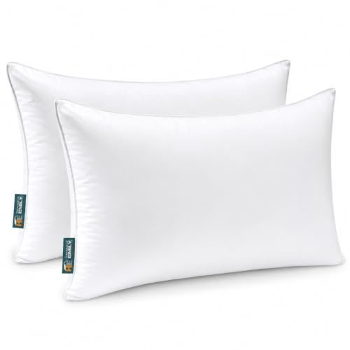 The House of Emily Pair of Luxury Microfibre Super King Size 20 x 36 Pillows