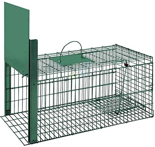 Suinga Trampa para Animales Vivos 75x37x34 cm Verde – Jaula Trampa Galvanizada para Conejos, Gatos, Zorros y Mapaches