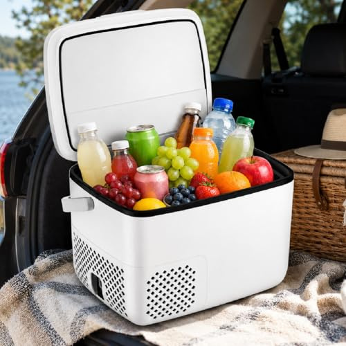 Bärbart bilkylskåp 18 L – kompakt 12/24 volt elektrisk kylare med kompressor, justerbar – 20 °C till 15 °C, LED digital kontroll och vikbart handtag