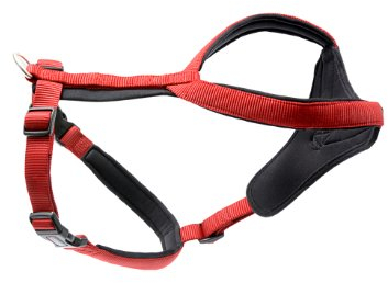 Geschirr Professional Comfort - 30-35cm x 25mm terracotta/oliv