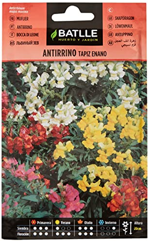 Semillas Batlle Antirrino enano TAPIZ