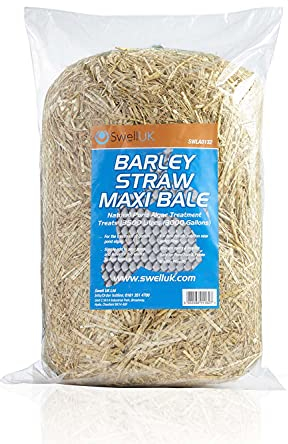 Swell Barley Straw Maxi 2 pack. Barley Straw for Ponds to act as Pond Cleaner and Algae Treatment