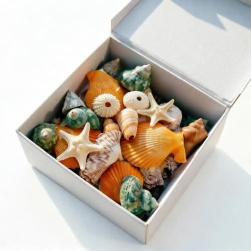 Natural Sea Shells Mixed Beach Seashells Starfish fish tank decorations | 3-9 CM Various Sizes Seashell, Conch Shells for Vase Fillers Fish Tank Beach Themed Party Home Wedding Decorations DIY Crafts