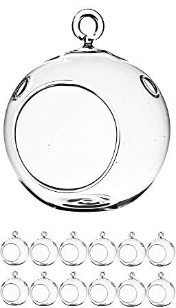 WGV Hanging Terrarium Globe Bulk, Width 2.25, Height 2.75, DIY Air Succulent Planter, Clear Glass Vase Orb with Flat Bottom, Candle Holder for Windowsill Outdoor Garden Decor, 12 Pieces