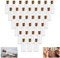 Kleemeiero 33pcs Kleine Glasflasche mit Korken Mini Flaschen Glas Wunschflaschen 5ml Luftdichte Flaschen Kleine Korkflaschen Reagenzglas für DIY Basteldekoration Party Hochzeitsgeschenke Gewürzgläser