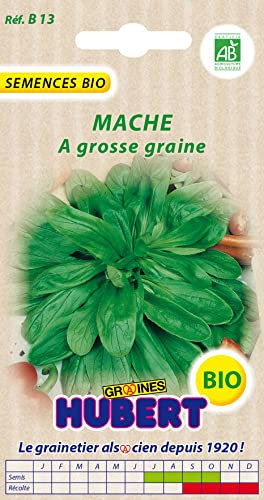 Graines de Mache a grosse graine BIO - 3 grammes
