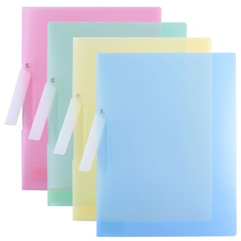 LELE LIFE Carpetas transparentes para documentos con clip oscilante, portadas de informes, carpetas de presentación, carpeta de currículum, tamaño A4, 31 x 23 cm (4 colores)