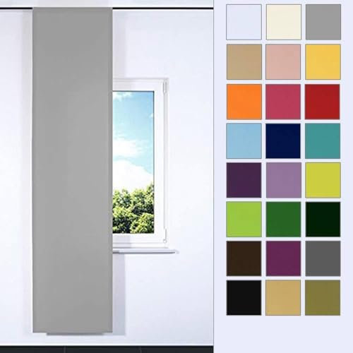 Rollmayer SCHIEBEVORHANG FLACHENVORHANG SCHIEBEPANEL SCHIEBEGARDINE Vorhang RAUMTEILER 60 x 200 cm Kollektion Vivid (Silbergrau 31, Klettband)