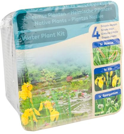 Moerings Waterplants Pond Planting Complete Kit – Native Plants (Iris, Acorus and Sparganium)