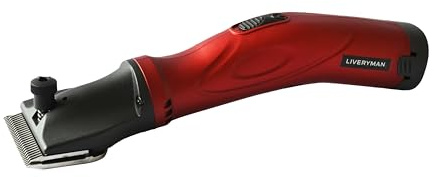 Liveryman Phoenix Clipper