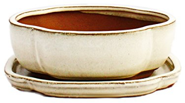 Exotenherz - Bonsai-Schale mit Unterteller Gr. 2 - hellbeige - haitang/oval - Modell I5 - L 14,5cm - B 12,5cm - H 5cm