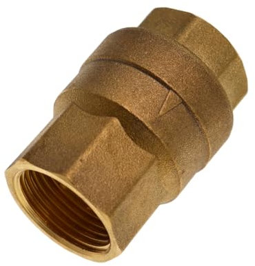 Valvola di ritegno 1 1/2 IG/IG, con disco in plastica, molla in acciaio inox, valvola di ritegno verticale in ottone, valvola di ritegno antiriflusso, PN 25