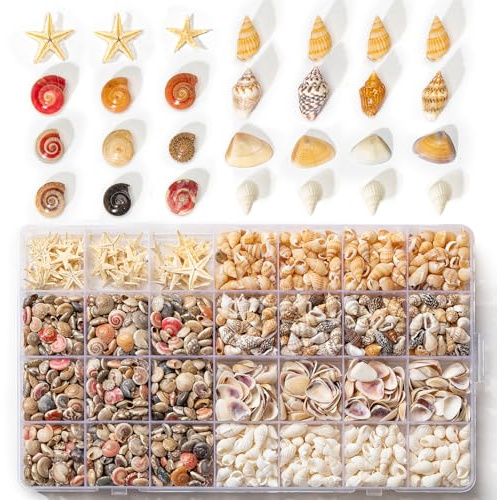 60 estrellas de mar y 1600 conchas marinas pequeñas, 5 tipos de conchas marinas naturales para decoración del hogar, decoración de velas, tanque de peces y relleno de jarrón de playa para manualidades