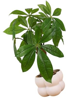 ZBIianxer Künstlicher Geldbaum Künstlicher Geldbaum Topfpflanze Dekoration Für Büro Schlafzimmer Wohnzimmer Küche Arbeitsplatte