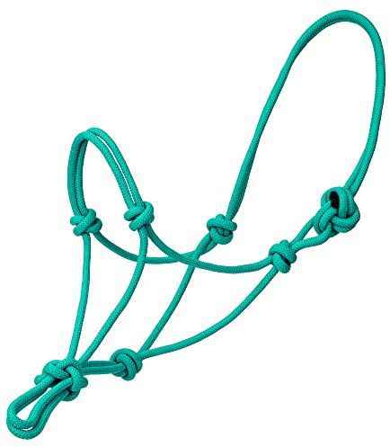 Start Rope - Cavezza in propilene, colore: Turchese