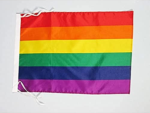 AZ FLAG - Drapeau Arc-en-Ciel - 45x30 cm - Pavillon Lgbt - Gay - Rainbow 100% Polyester Avec Deux Cordelettes - 20g