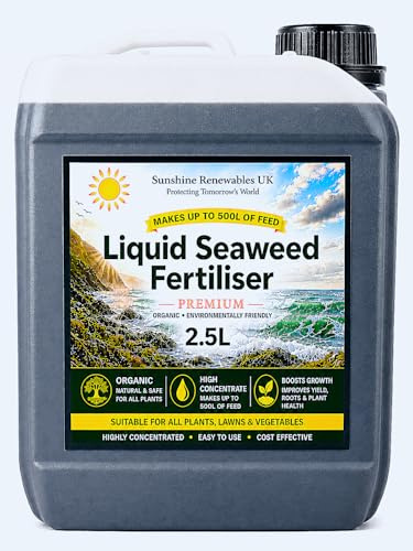 Seaweed Fertiliser Premium Liquid (1:200) – Organic Plant Feed for Vegetables, Flowers, Lawns & Shrubs – Sunshine Renewables UK (2.5L)