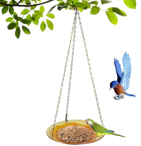 de Aves y Pájaros - Bandeja de Alimento Refinada como Elemento Decorativo - Alimentador de Comida para Colibríes - para Exterior Jardín Patio Porche y Parque