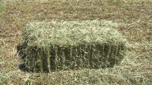 Heuballen 7,5kg frisches Wiesenheu für Kleintiere