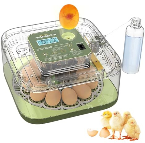 Incubator for Hatching Eggs with Turning,12 Eggs Automatic Incubator and Temperature Control Precise Humidity Control, 360° View Clear Window for Hatching Chicken, Quail Bird,Duck, Pigeon Eggs
