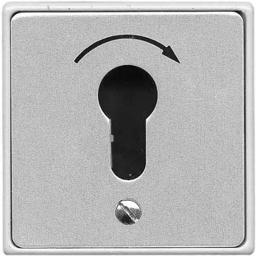 BERKER Schlüsseltaster Up 4450