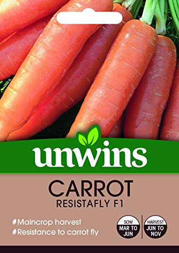 Unwins 30310564 Carrot Resistafly F1 Seeds, Clear